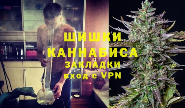 первитин Богданович