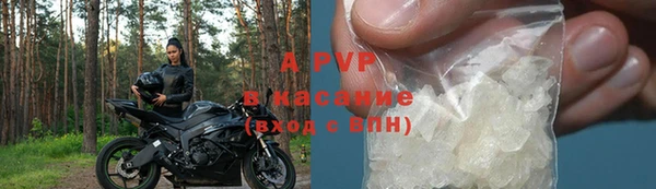 spice Богородицк