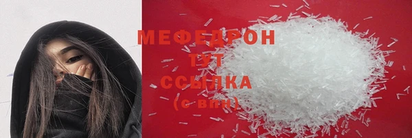 spice Богородицк