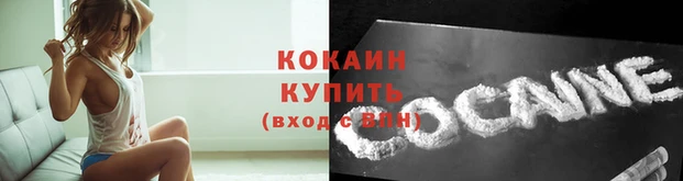 spice Богородицк