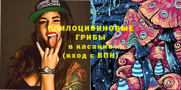первитин Богданович
