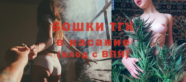 spice Богородицк