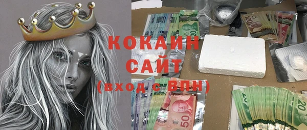 spice Богородицк