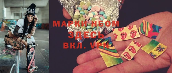 spice Богородицк