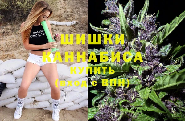 первитин Богданович